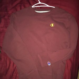 COPY - Champion sweater